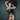 outcall escort agency | Boardroomescorts.com.au