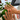 Discover Top-Notch Nail Salon Services in Georgetown, TX
