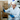 Healthcare Logistics: Navigating the Vital Supply Chain
