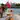 Themed River Thames Cruise: A Cultural Odyssey