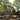 Transform Your Baton Rouge Landscape with Expert Excavation Services