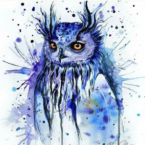 Indigo Owl