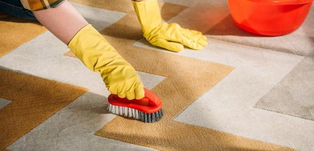 Refresh Your Space with Silver Olas Carpet Cleaner