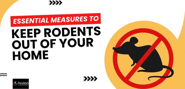 Essential Measures to Keep Rodents Out of Your Home