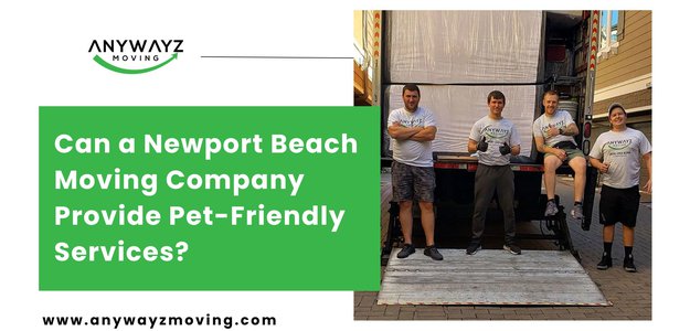 Can a Newport Beach Moving Company Provide Pet-Friendly Services?