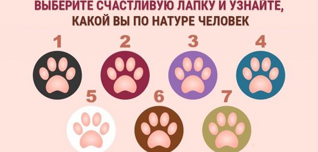 Выберите счастливую лапку и узнайте, какой вы по натуре человек