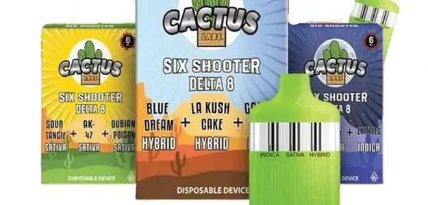 Cactus Labs Six Shooter THC-A Blend Disposable Vape In Quetta 03001597757