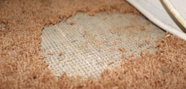 How to Slow Carpet Wear in High-Traffic Areas