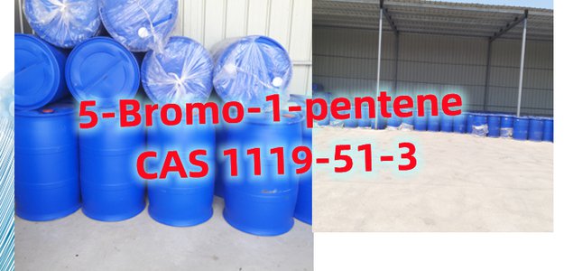 Hot sale 5-Bromo-1-pentene powder CAS 1119-51-3 from Qingdao Cemo