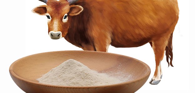 The Various Benefits of Bovine Collagen