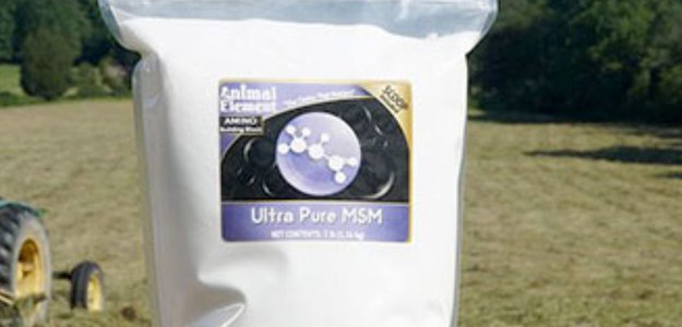 The Ultimate Supplement Stack for Horses: Cissus Quadrangularis, ALCAR, and MSM Together