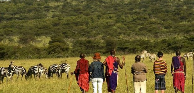 Experience the Best Murchison Falls Tours and Walking Safari Adventures