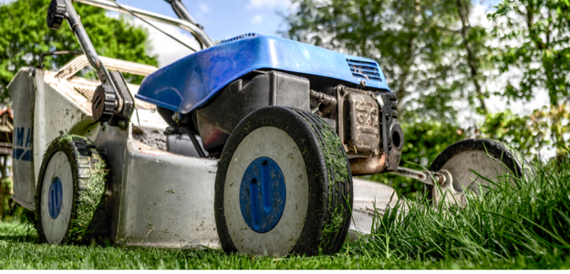 Choosing Quality Lawn Care Services: Tips for a Lush, Healthy Yard