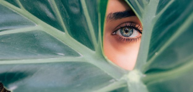 Diet For Healthy Eyes: Here Are The 5 Natural Ingredients To Include In Your Diet