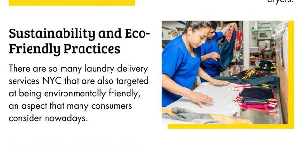 How Laundry Delivery Services Are Changing Way of Laundry?