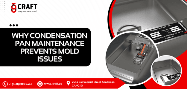 Why Condensation Pan Maintenance Prevents Mold Issues