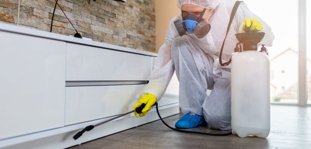 Reliable Pest Control Conroe: Lake Conroe Pest Control Experts