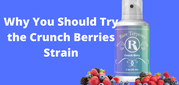 Why You Should Try the Crunch Berries Strain