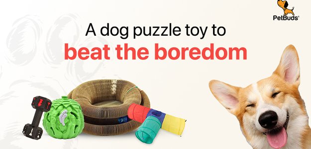 A dog puzzle toy to beat the boredom