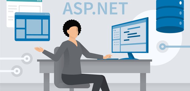 What Services Do Professional Asp Net Hosting Providers Offer? Navicosoft