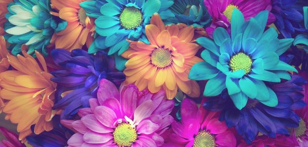 Сохранение цветов свежими: 4 эффективных совета