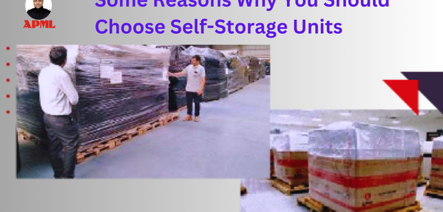 Some Reasons Why You Should Choose Self-Storage Units - Storekar