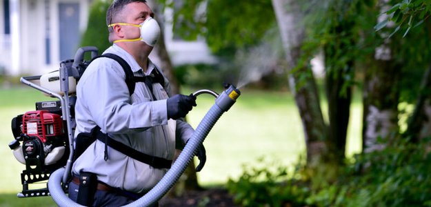 Pest Control for your Home: Easy and Powerful Solutions