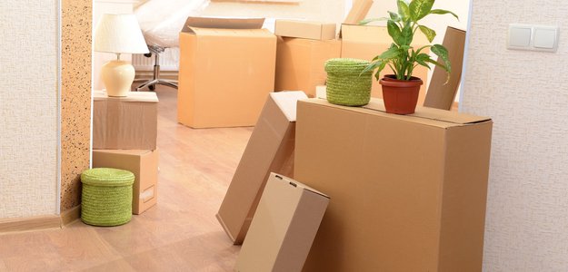 The Basics of Buying Rental Furniture for Your Office