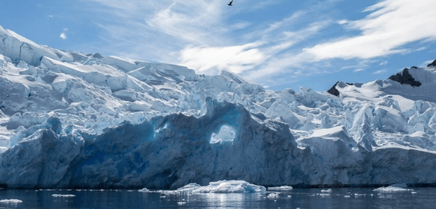 Антарктида: 10 фактов, которые вы не знали.