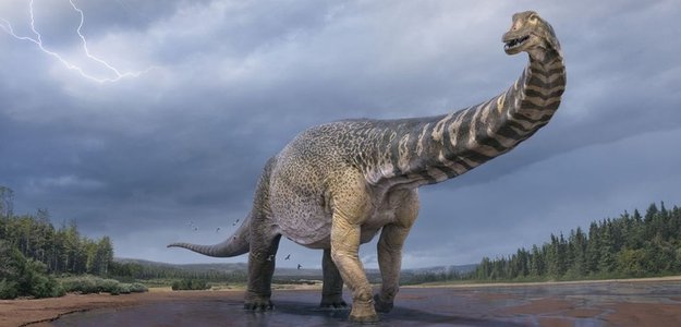 New Dinosaur Species Discovered In Australia.