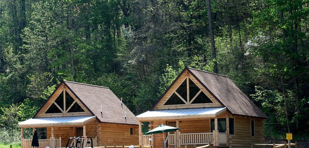 Discover Serenity in Nature's Embrace: Buffalo Trail Cabins Beckon Adventure!