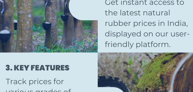 Track Natural Rubber Price in India by CostMasters