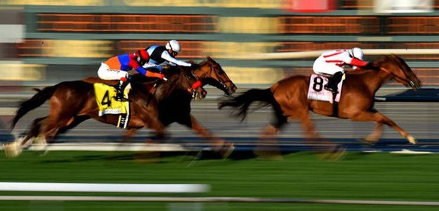 Place Horse Racing Bets Online Singapore | 8nplay.co