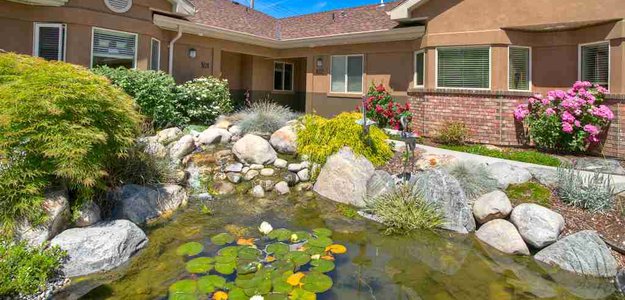 Comprehensive Elder Care in Kelowna: Compassionate Support for Your Loved Ones