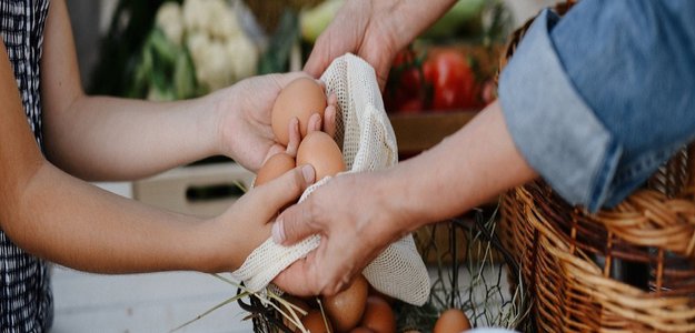 The Beyond the Grocery Store: Discovering Hidden Gems in Farm Store Offerings