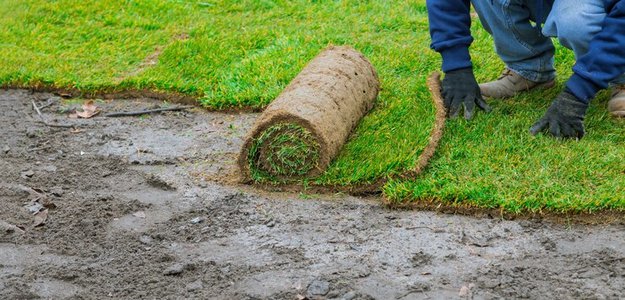 Landscape Grading:Essential Guide for Homeowners