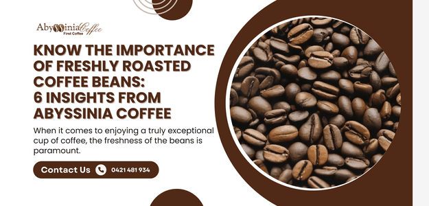Know the Importance of Freshly Roasted Coffee Beans: 6 Insights from Abyssinia Coffee