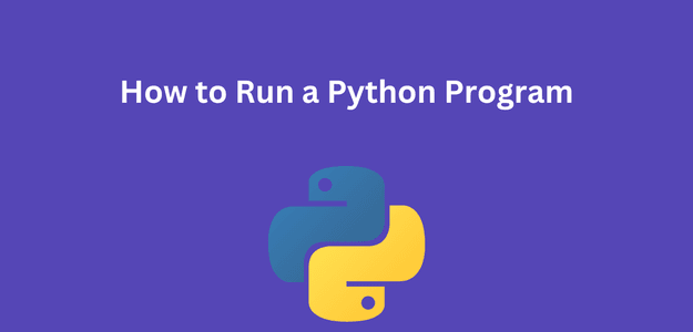 How to Run a Python Program Like a Pro!