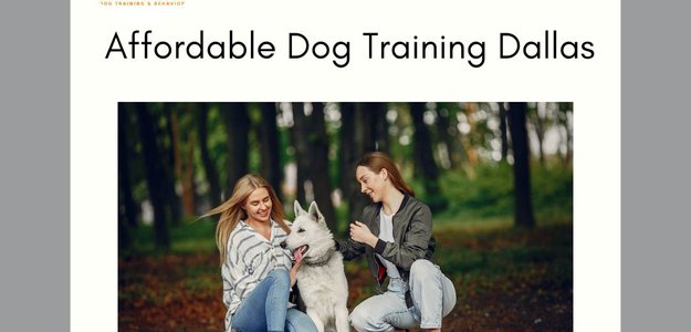 Affordable Dog Training in Dallas By Break Through Dog Training & Behavior