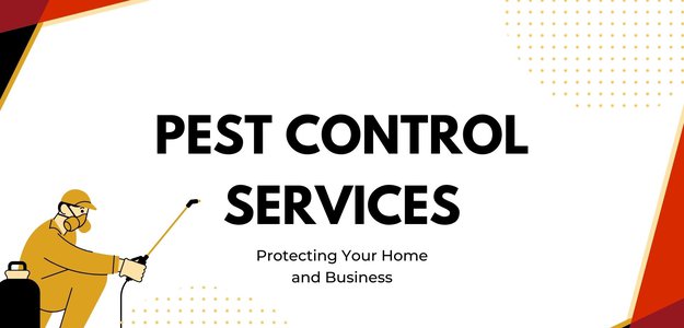 How to Prevent Pests from Entering Your Brisbane Home