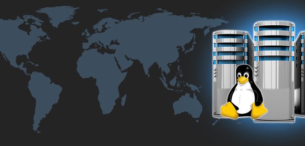 Is Linux Reseller Hosting the Perfectly Choice for Making Profits?