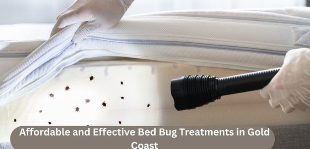 Affordable and Effective Bed Bug Treatments in Gold Coast