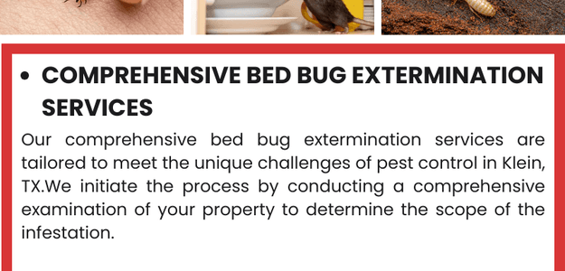 Effective Pest Control Services in Klein, TX by Bed Bug Texas