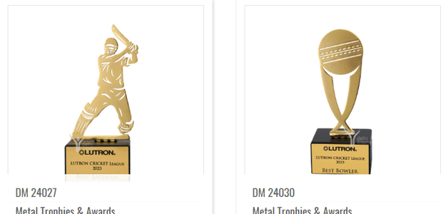 Premium India Trophies – Custom Designs for Every Occasion!