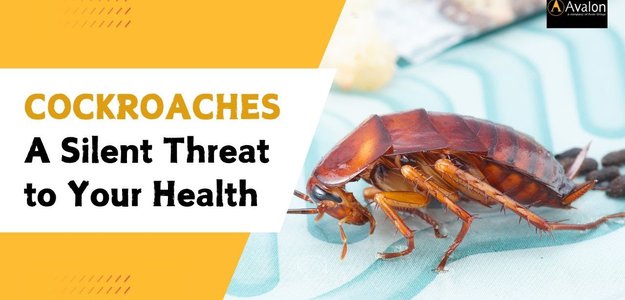 Cockroaches, A Silent Threat to Your Health