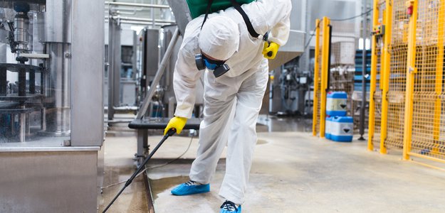 Pest Control for the Home: Simple and Powerful Procedures