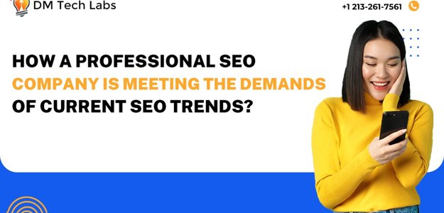 How a Professional SEO Company is Meeting the Demands of Current SEO Trends?