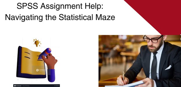 SPSS Assignment Help: Navigating the Statistical Maze