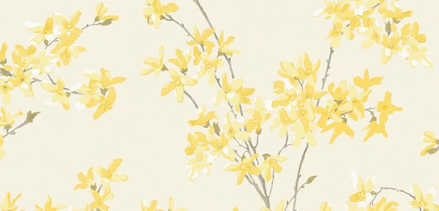 Sunshine Wallpaper Ideas For Your Home Office