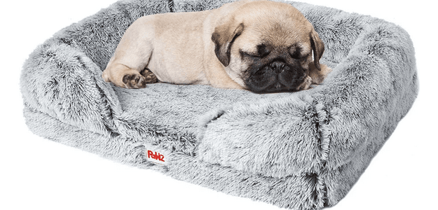 Buy Dog Beds in Australia| Consider these tips to find Right Bed for Your Pet
